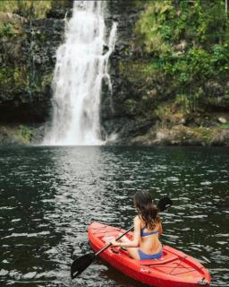 The Inn at Kulaniapia Falls - Hilo - 1