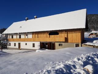 Apartments Arh - Bohinjska Bistrica - 0