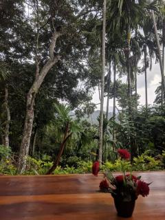 Mango Shadow Inn Ella - 1