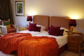 Lyngrove Wines & Guesthouse - Stellenbosch - 1