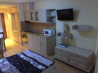 Villa Park Luxury Studio - Borovets - 3