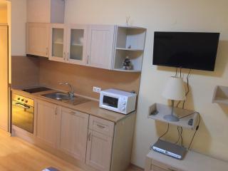 Villa Park Luxury Studio - Borovets - 8