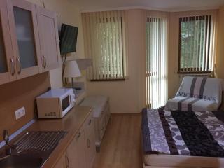 Villa Park Luxury Studio - Borovets - 9