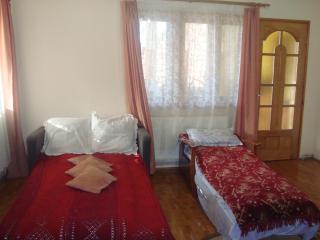 Pensiunea Nicky - Oeștii Ungureni - 9
