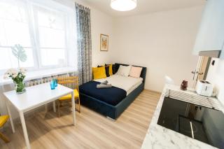 Vintage Krasińskiego 7/4 Apartment - Cracovia - 7