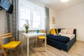 Vintage Krasińskiego 7/4 Apartment - 4