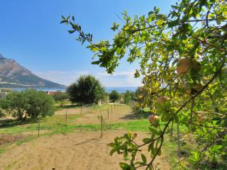Seaside Apartment - Omiš - 8