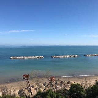 Hotel Majestic - Gabicce Mare - 4
