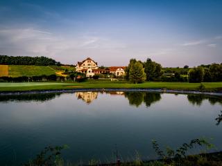 Hotel Neustifter - Poysdorf - 2