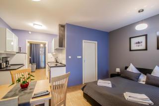 National Museum Apartment by Ruterra - Praga - 6