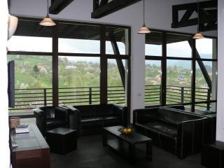 Vila Poarta Bucegilor - 6