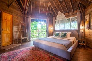 Socialtel Red Frog - Bocas del Toro - 6