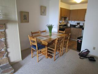 Cozt Downstairs Skyleaf D1 Condo - Sugar Mountain - 3