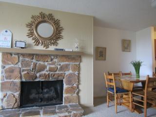 Cozt Downstairs Skyleaf D1 Condo - Sugar Mountain - 4