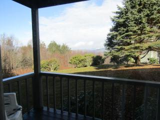 Cozt Downstairs Skyleaf D1 Condo - Sugar Mountain - 9