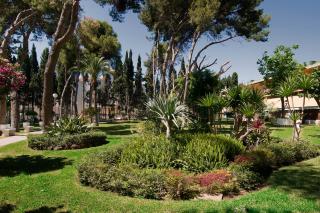 Apartamento Rocio Torremolinos - Torremolinos - 8