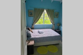Comfort Suites - Choiseul - 7