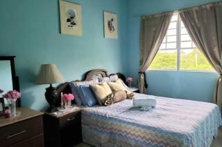 Comfort Suites - Choiseul - 1