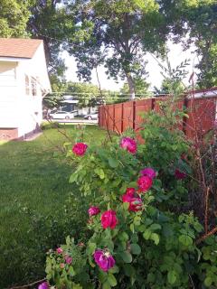 Cozy and Comfortable Powell Apartment - 5