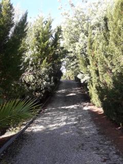 Villa "Le Mirage" - Cap-Ferret - 9