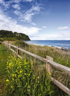 WorldMark Discovery Bay - Port Townsend - 5