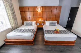 Chesterfield Hotel & Suites - Miami Beach - 3