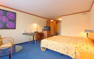 HOTEL ENGEL LIESTAL - Business & Lifestyle - Liestal - 9