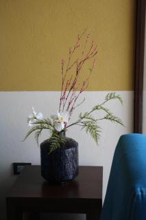 Casa Flores Hotel & Spa - 5