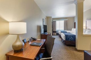 Comfort Suites Near Denver Downtown - 4