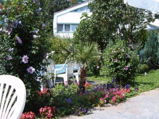 Hotel Park Eden - Bad Bellingen - 1