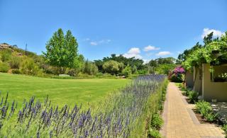 Piekenierskloof Mountain Resort by Dream Resorts - Citrusdal - 1