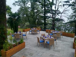 Hotel Pine Retreat Mallroad - Mussoorie - 9