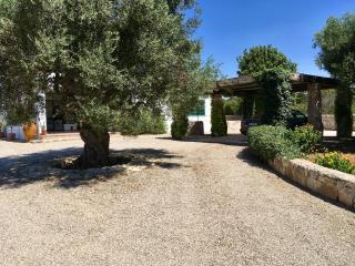 Villa panoramica con piscina - 3