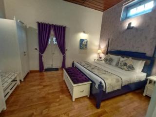 Hotel Pine Retreat Mallroad - Mussoorie - 8