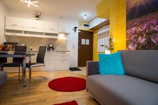 Apartament Promyk Pod Lipkami APARTZAKOP - Zakopane - 3