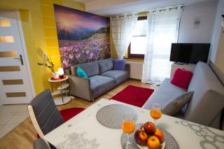 Apartament Promyk Pod Lipkami APARTZAKOP - Zakopane - 8