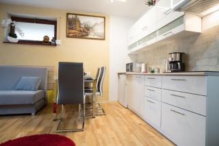 Apartament Promyk Pod Lipkami APARTZAKOP - 1