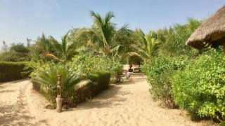 Le Kibalaou - Cap Skirring - 4