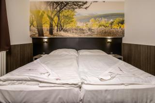 Andante Pension & Restaurant - Szentgotthárd - 5