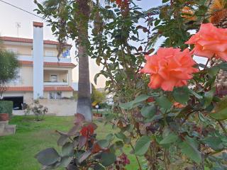 Vaso's country house near the beach and airport - Porto Rafti - 0
