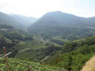 Hotel Al Caminetto - Cembra - 3