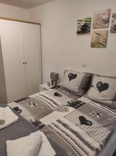 Apartman Beker Vrnjacka Banja - Vrnjačka Banja - 3