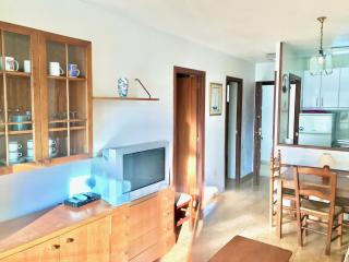 APARTMENT IN LEVANTE BEACH BENIDORM - Benidorm - 1