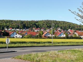 Ferienwohnung 40qm Gernrode - 1