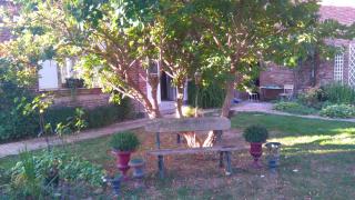 Le jardin des Écureuils - Démuin - 4