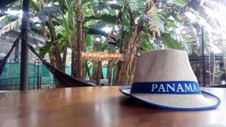 PaCasa Hostel - David - 5