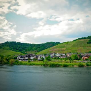 Hotel Sewenig - Müden - 2