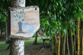 Ging Oya Lodge - 9