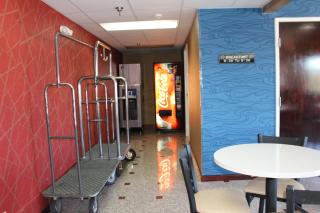 Magnolia Inn and Suites Southaven - Southaven - 4