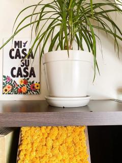 Cozy Flat in Villa Near Old Town - Bucarest - 6